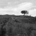paysage_01