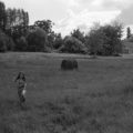 paysage_16